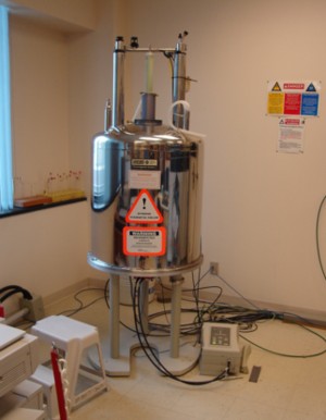 University of Ottawa NMR Facility Blog: The Information Content of