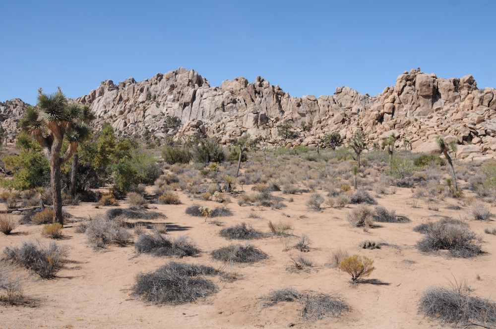 désert du Mojave