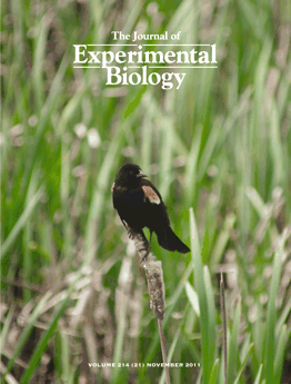 Cover Journal of Experimental Biology