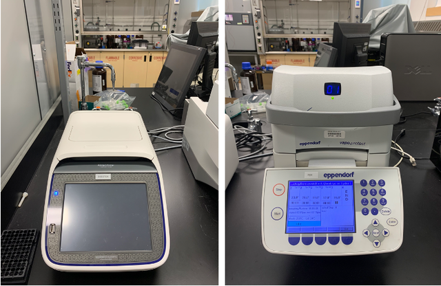 Thermal cyclers – Eppendorf and Ampicell